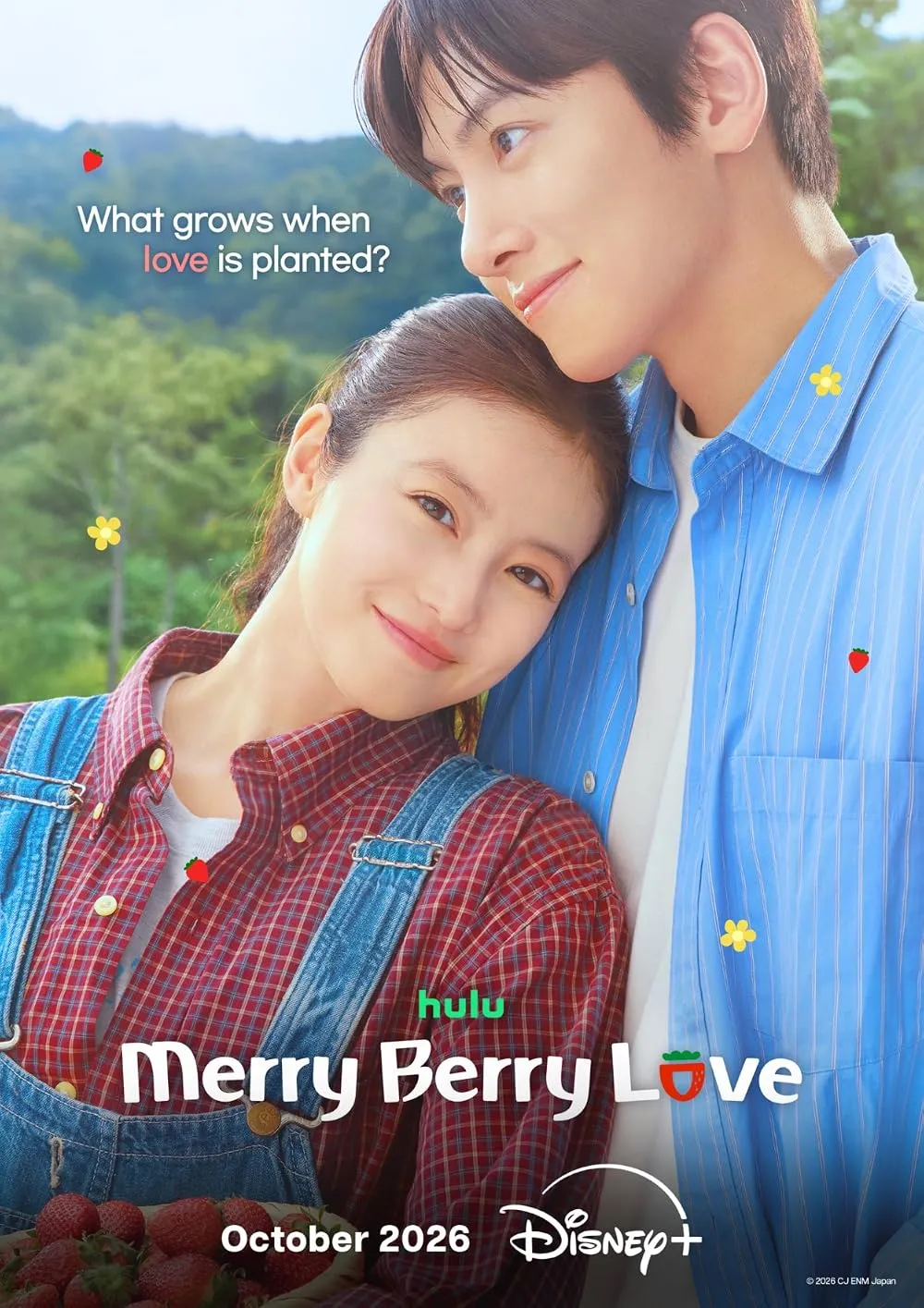 Affiche de Merry Berry Love